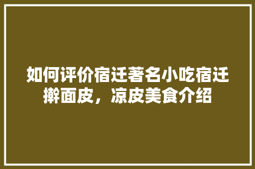 如何评价宿迁著名小吃宿迁擀面皮，凉皮美食介绍