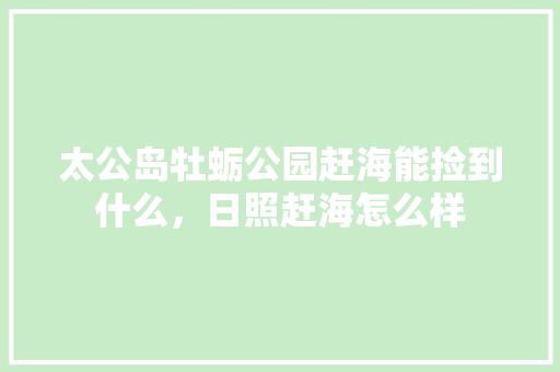 太公岛牡蛎公园赶海能捡到什么，日照赶海怎么样 太公岛牡蛎公园赶海能捡到什么，日照赶海怎么样 旅行资讯