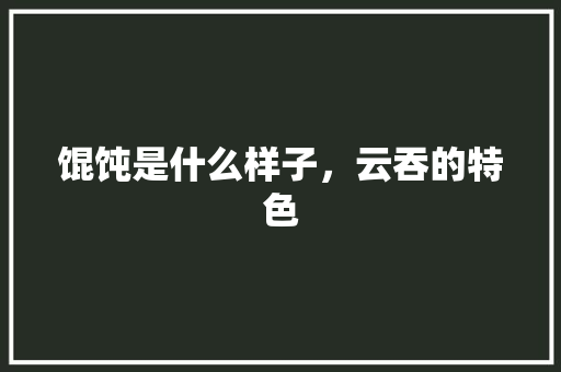 馄饨是什么样子，云吞的特色