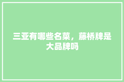 三亚有哪些名菜，藤桥牌是大品牌吗 三亚有哪些名菜，藤桥牌是大品牌吗 生活指南