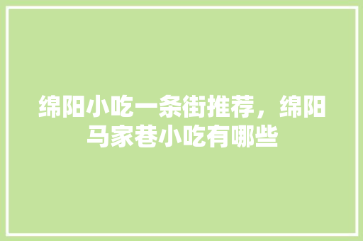 绵阳小吃一条街推荐，绵阳马家巷小吃有哪些