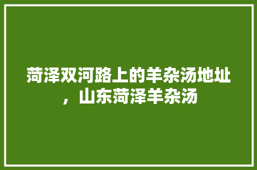 菏泽双河路上的羊杂汤地址，山东菏泽羊杂汤 菏泽双河路上的羊杂汤地址，山东菏泽羊杂汤 生活指南