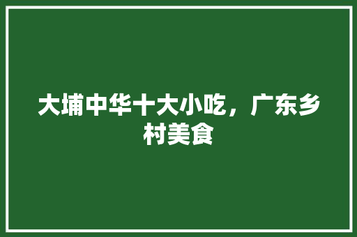 大埔中华十大小吃，广东乡村美食 大埔中华十大小吃，广东乡村美食 家居窍门
