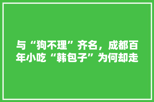 与“狗不理”齐名，成都百年小吃“韩包子”为何却走向另一极端，各地特色包子 健康建议