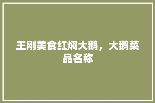 王刚美食红焖大鹅，大鹅菜品名称 王刚美食红焖大鹅，大鹅菜品名称 美食推荐
