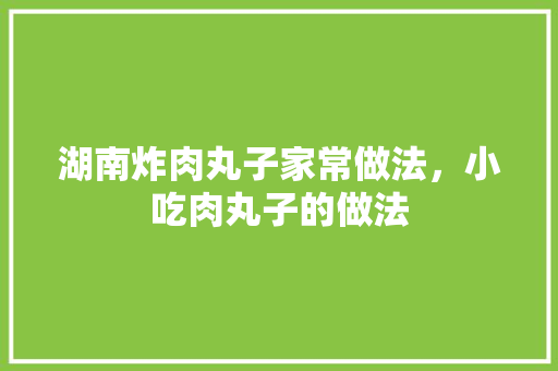 湖南炸肉丸子家常做法，小吃肉丸子的做法 湖南炸肉丸子家常做法，小吃肉丸子的做法 旅行资讯