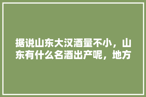 据说山东大汉酒量不小，山东有什么名酒出产呢，地方知名小吃
