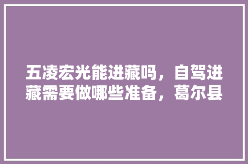 五凌宏光能进藏吗，自驾进藏需要做哪些准备，葛尔县城 五凌宏光能进藏吗，自驾进藏需要做哪些准备，葛尔县城 健康建议
