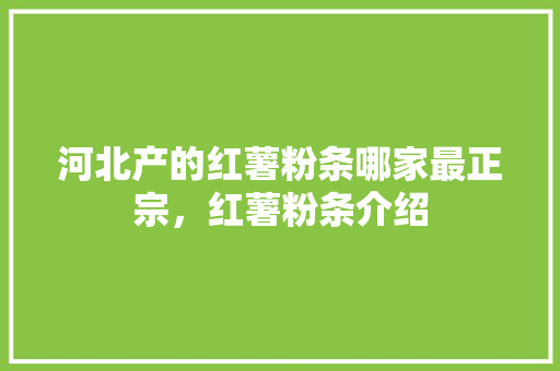河北产的红薯粉条哪家最正宗，红薯粉条介绍