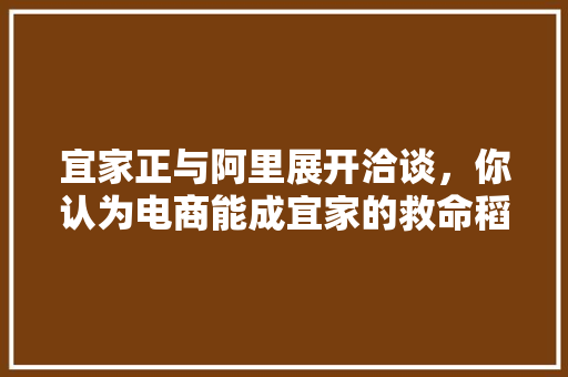 宜家正与阿里展开洽谈，你认为电商能成宜家的救命稻草吗，江浙沪美食代购 宜家正与阿里展开洽谈，你认为电商能成宜家的救命稻草吗，江浙沪美食代购 家居窍门