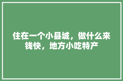 住在一个小县城，做什么来钱快，地方小吃特产 住在一个小县城，做什么来钱快，地方小吃特产 家居窍门