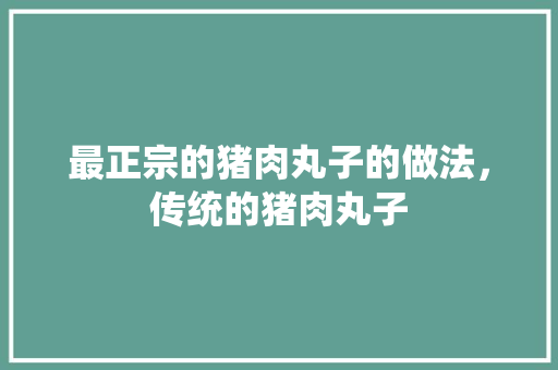 最正宗的猪肉丸子的做法，传统的猪肉丸子