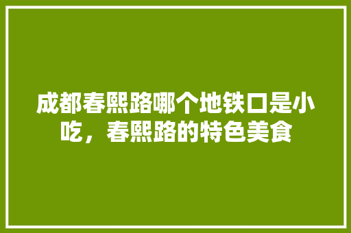 成都春熙路哪个地铁口是小吃，春熙路的特色美食 成都春熙路哪个地铁口是小吃，春熙路的特色美食 旅行资讯