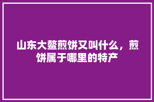 山东大鳌煎饼又叫什么，煎饼属于哪里的特产 山东大鳌煎饼又叫什么，煎饼属于哪里的特产 生活指南