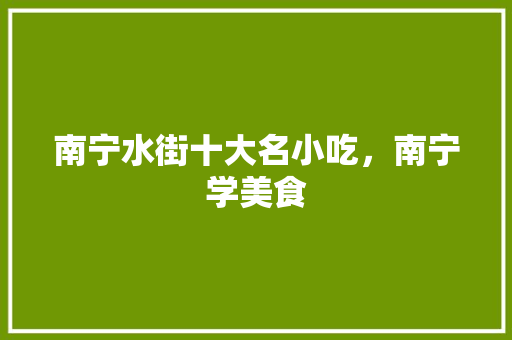 南宁水街十大名小吃，南宁学美食