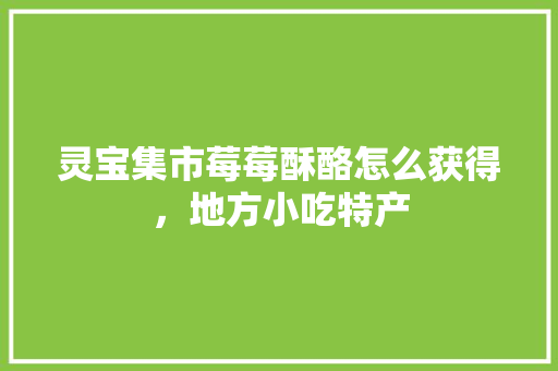 灵宝集市莓莓酥酪怎么获得，地方小吃特产