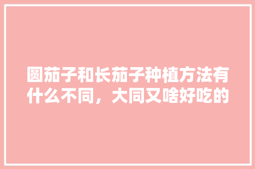 圆茄子和长茄子种植方法有什么不同，大同又啥好吃的 圆茄子和长茄子种植方法有什么不同，大同又啥好吃的 生活指南