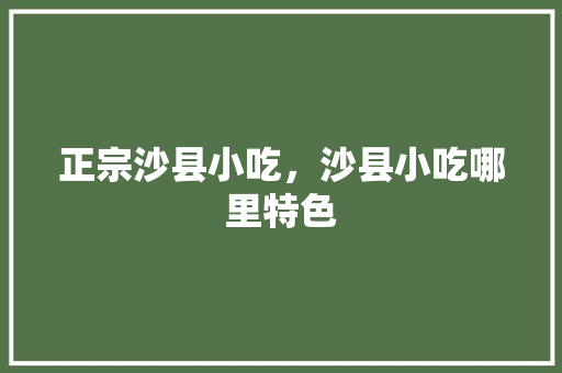 正宗沙县小吃，沙县小吃哪里特色