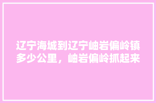 辽宁海城到辽宁岫岩偏岭镇多少公里，岫岩偏岭抓起来几个 辽宁海城到辽宁岫岩偏岭镇多少公里，岫岩偏岭抓起来几个 旅行资讯