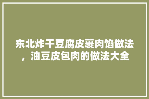 东北炸干豆腐皮裹肉馅做法，油豆皮包肉的做法大全