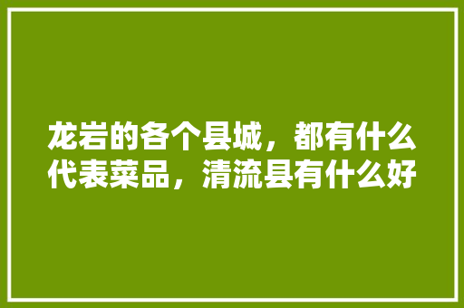 龙岩的各个县城，都有什么代表菜品，清流县有什么好吃的 龙岩的各个县城，都有什么代表菜品，清流县有什么好吃的 生活指南