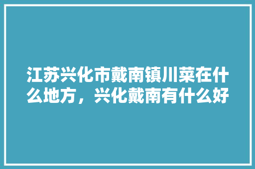 江苏兴化市戴南镇川菜在什么地方，兴化戴南有什么好吃的