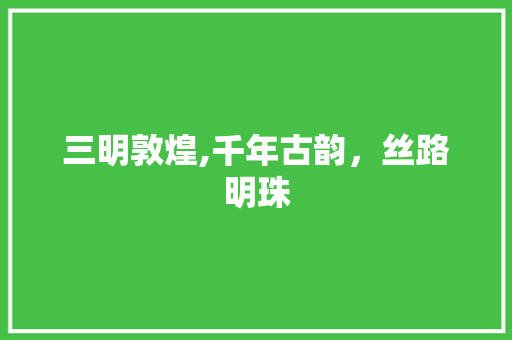 三明敦煌,千年古韵，丝路明珠