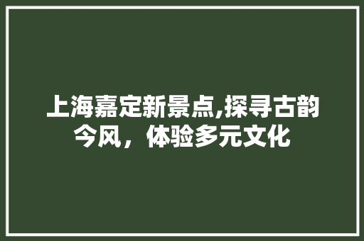上海嘉定新景点,探寻古韵今风，体验多元文化