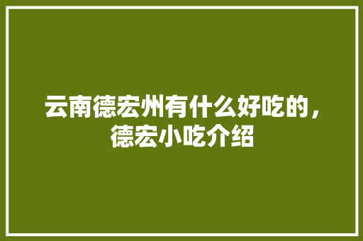 云南德宏州有什么好吃的，德宏小吃介绍