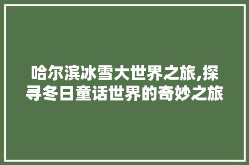 哈尔滨冰雪大世界之旅,探寻冬日童话世界的奇妙之旅 旅行资讯