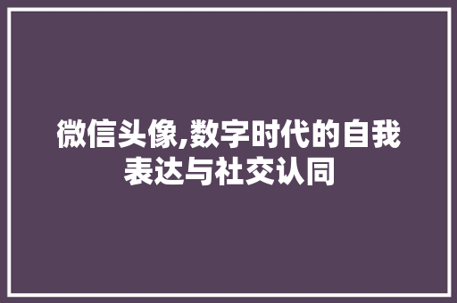 微信头像,数字时代的自我表达与社交认同 家居窍门