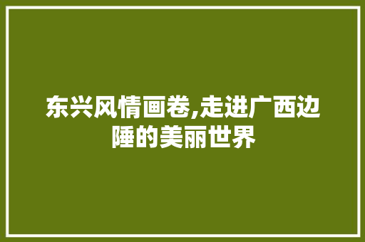 东兴风情画卷,走进广西边陲的美丽世界