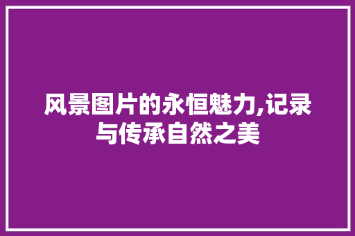 风景图片的永恒魅力,记录与传承自然之美