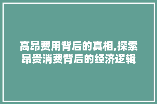 高昂费用背后的真相,探索昂贵消费背后的经济逻辑