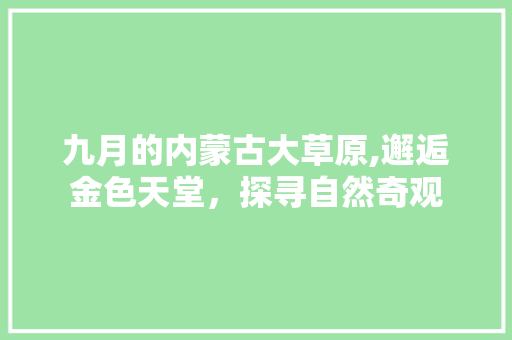 九月的内蒙古大草原,邂逅金色天堂，探寻自然奇观