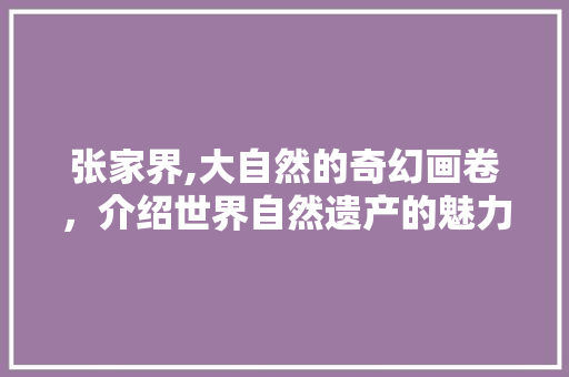 张家界,大自然的奇幻画卷，介绍世界自然遗产的魅力