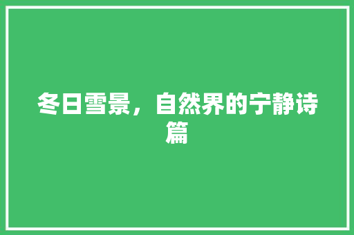 冬日雪景，自然界的宁静诗篇