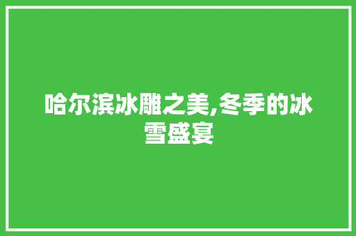 哈尔滨冰雕之美,冬季的冰雪盛宴