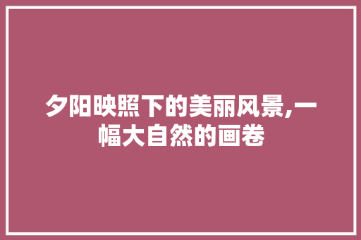 夕阳映照下的美丽风景,一幅大自然的画卷