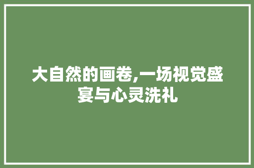 大自然的画卷,一场视觉盛宴与心灵洗礼