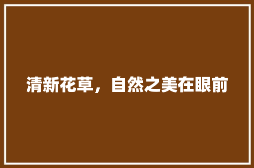 清新花草，自然之美在眼前 美食推荐
