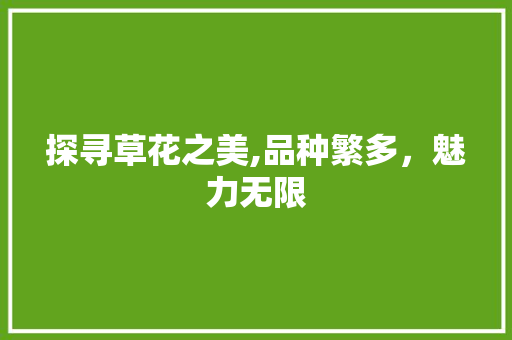 探寻草花之美,品种繁多，魅力无限 旅行资讯