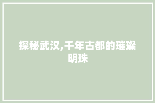 探秘武汉,千年古都的璀璨明珠