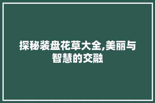 探秘装盘花草大全,美丽与智慧的交融