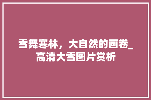 雪舞寒林，大自然的画卷_高清大雪图片赏析