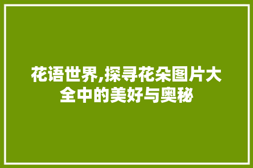 花语世界,探寻花朵图片大全中的美好与奥秘 美食推荐