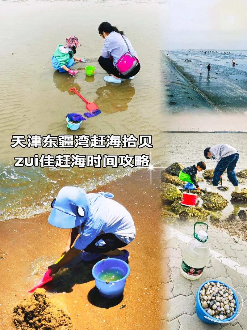 天津赶海需要带什么装备,天津赶海都有什么 健康建议 天津赶海需要带什么装备,天津赶海都有什么 天津赶海需要带什么装备,天津赶海都有什么 健康建议