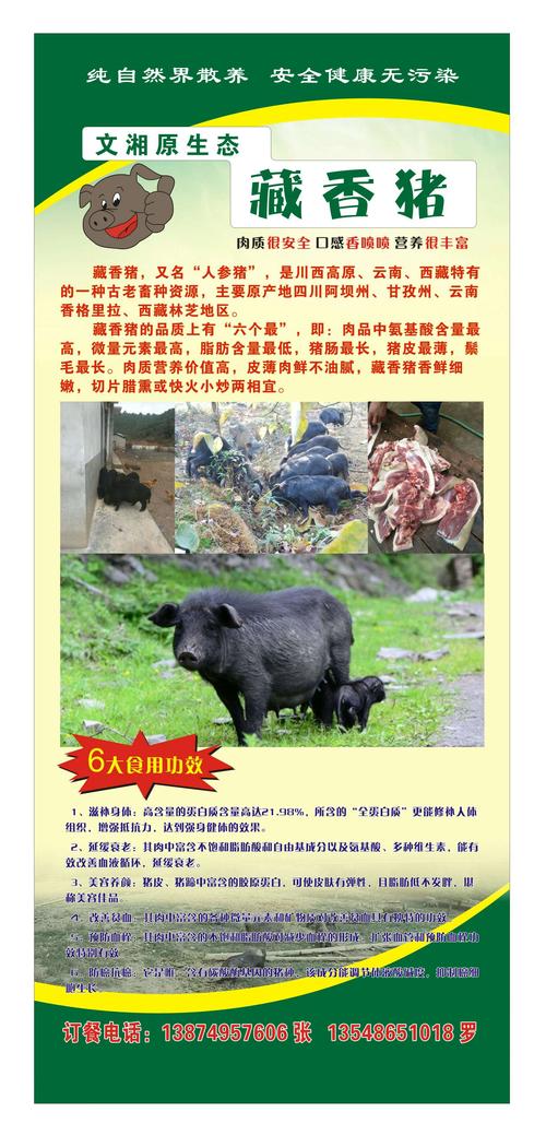 云南美食来源及介绍,云南特产猪 生活指南 云南美食来源及介绍,云南特产猪 云南美食来源及介绍,云南特产猪 生活指南