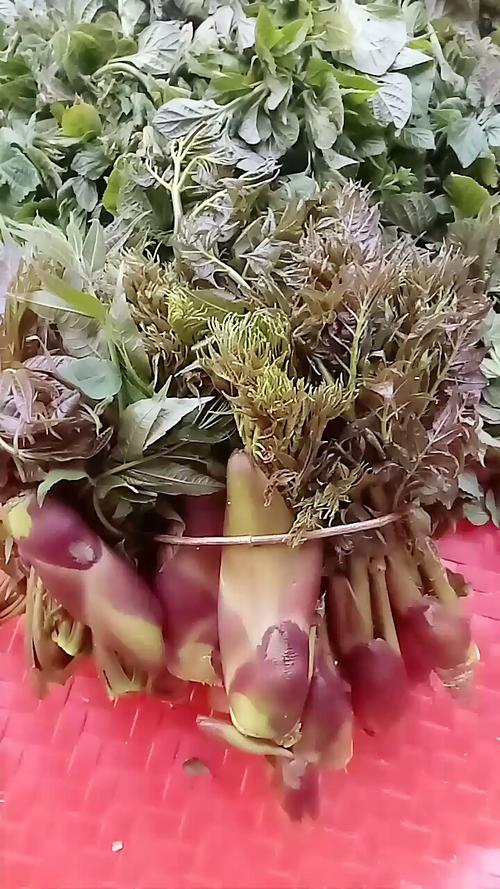 贵州野菜都有哪些品种,贵州特产野菜 美食推荐 贵州野菜都有哪些品种,贵州特产野菜 贵州野菜都有哪些品种,贵州特产野菜 美食推荐