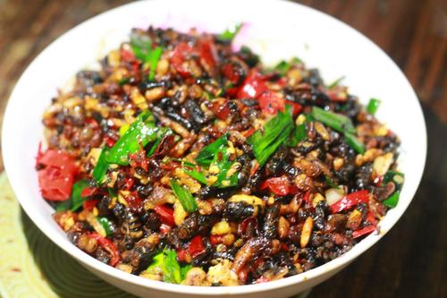 湖南特色美食——蜂蛹是怎么做的?好吃吗,湖南美食小吃做法大全 生活指南 湖南特色美食——蜂蛹是怎么做的?好吃吗,湖南美食小吃做法大全 湖南特色美食——蜂蛹是怎么做的?好吃吗,湖南美食小吃做法大全 生活指南